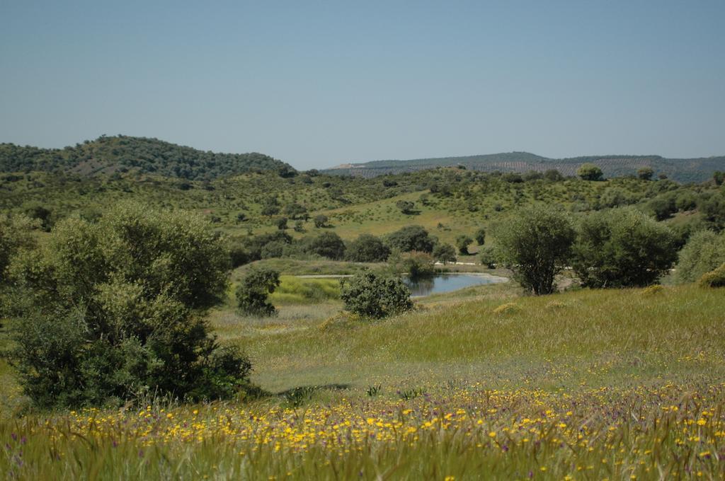 Albergue Rural De Fuente Agria Hostel Villafranca de Córdoba Εξωτερικό φωτογραφία